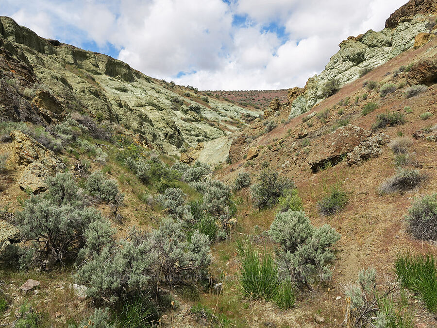 blue rock & sagebrush (Artemisia tridentata) [Succor Creek Road, Malheur County, Oregon]