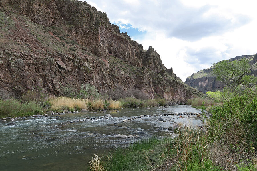 Owyhee River [Snively Hot Springs, Malheur County, Oregon]