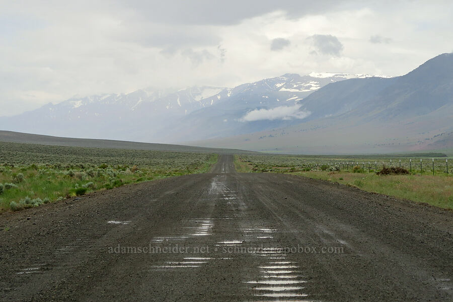 rain & Steens Mountain [Fields-Folly Farm Road, Harney County, Oregon]