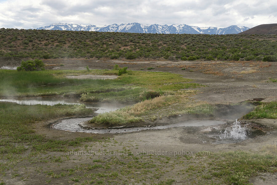 hot stream & a boiling hot spring [Mickey Hot Springs, Harney County, Oregon]