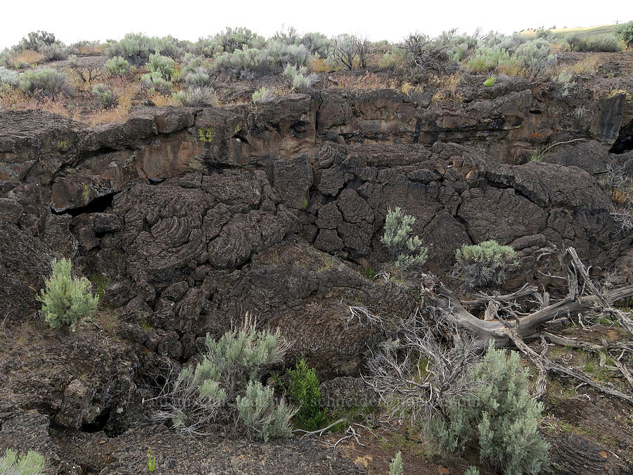 lava [Diamond Craters, Harney County, Oregon]
