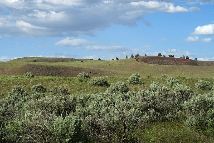 South Dome [Diamond Craters, Harney County, Oregon]