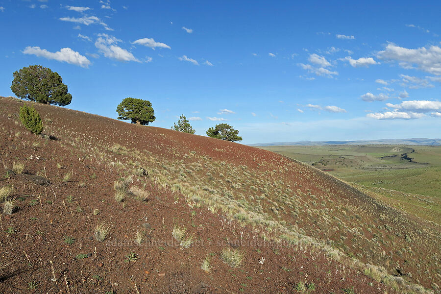 edge of South Dome [Diamond Craters, Harney County, Oregon]