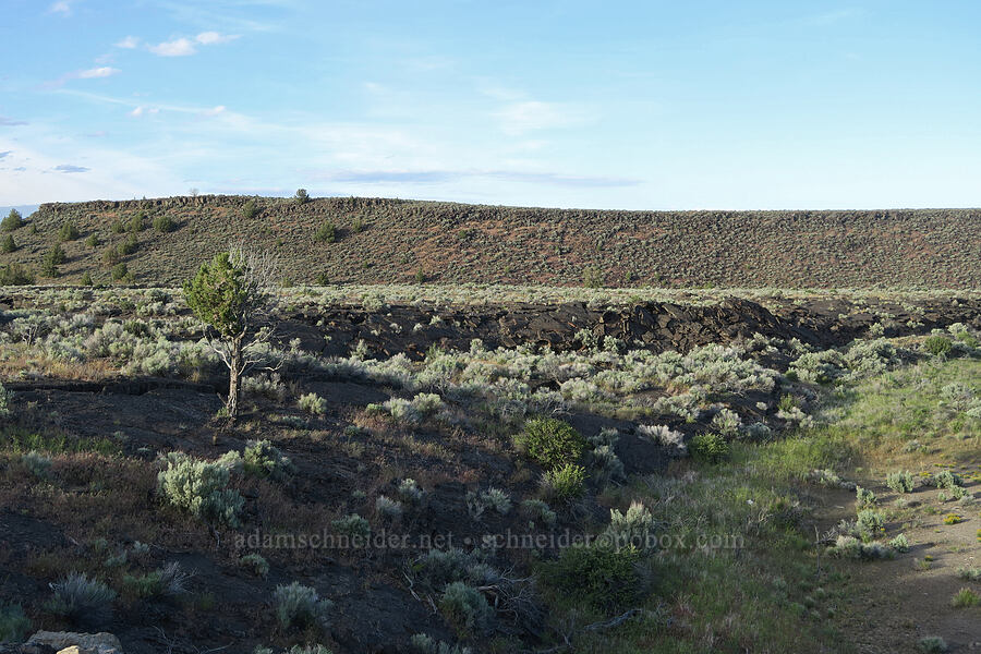 edge of a lava flow [Diamond Craters, Harney County, Oregon]