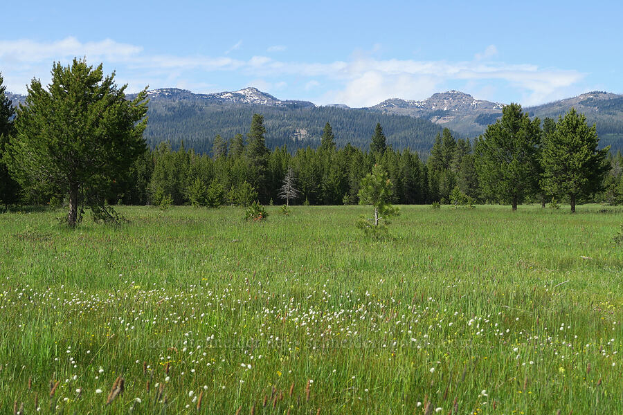 Strawberry Mountains & meadows [Logan Valley, Malheur National Forest, Grant County, Oregon]