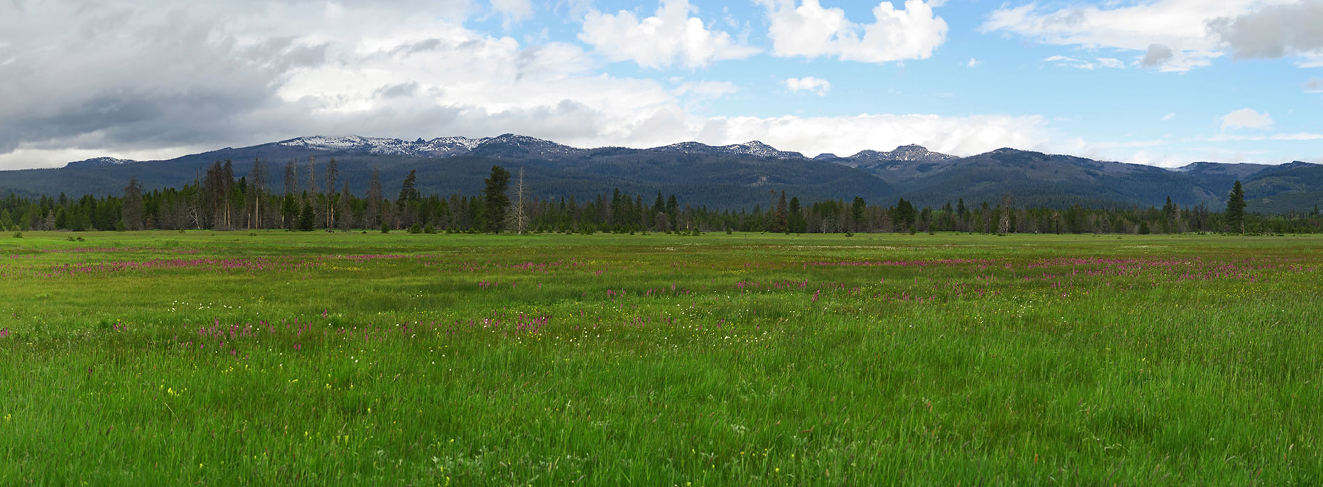 Logan Valley panorama [Logan Valley, Malheur National Forest, Grant County, Oregon]