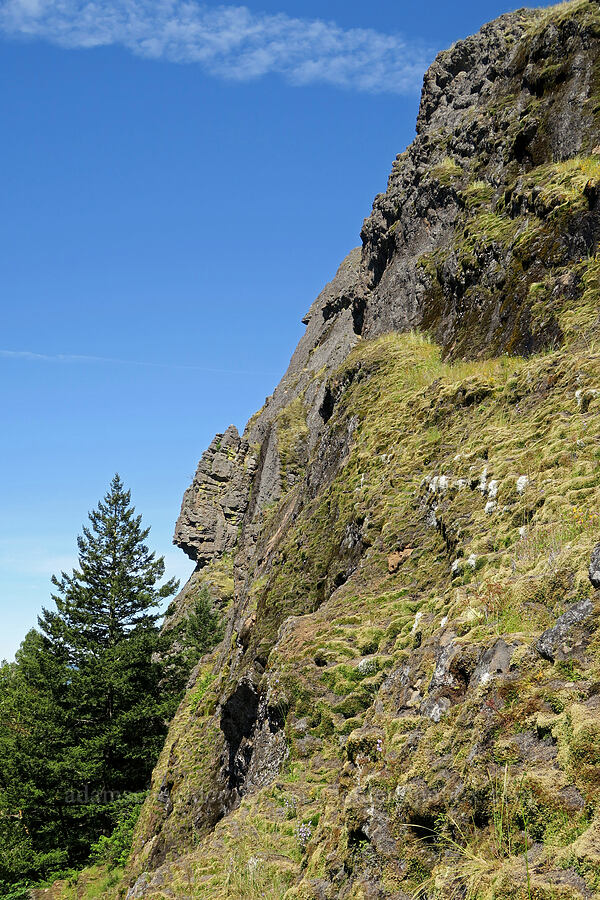 south edge of Eagle's Rest [Eagle's Rest, Lane County, Oregon]