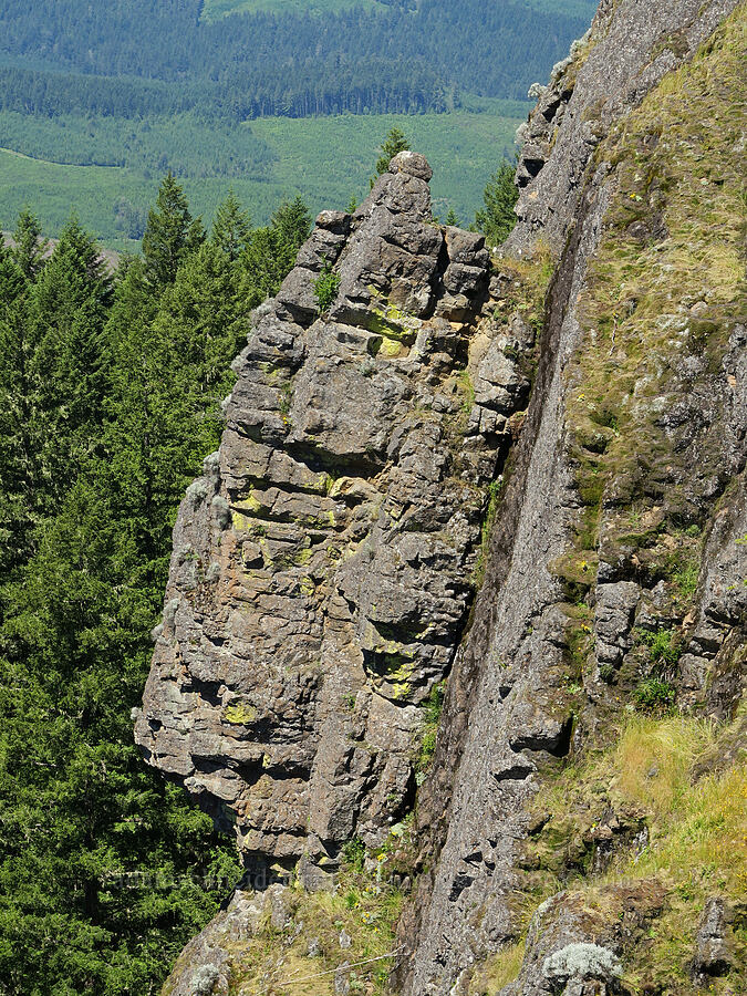 south edge of Eagle's Rest [Eagle's Rest, Lane County, Oregon]