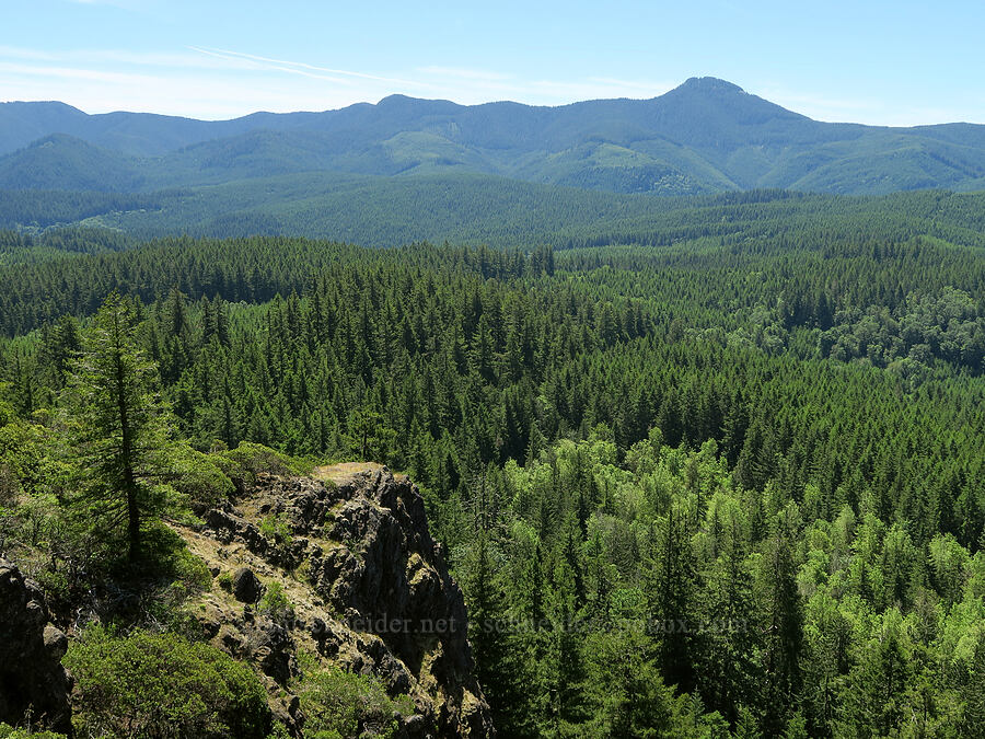 view to the south [Eagle's Rest, Lane County, Oregon]