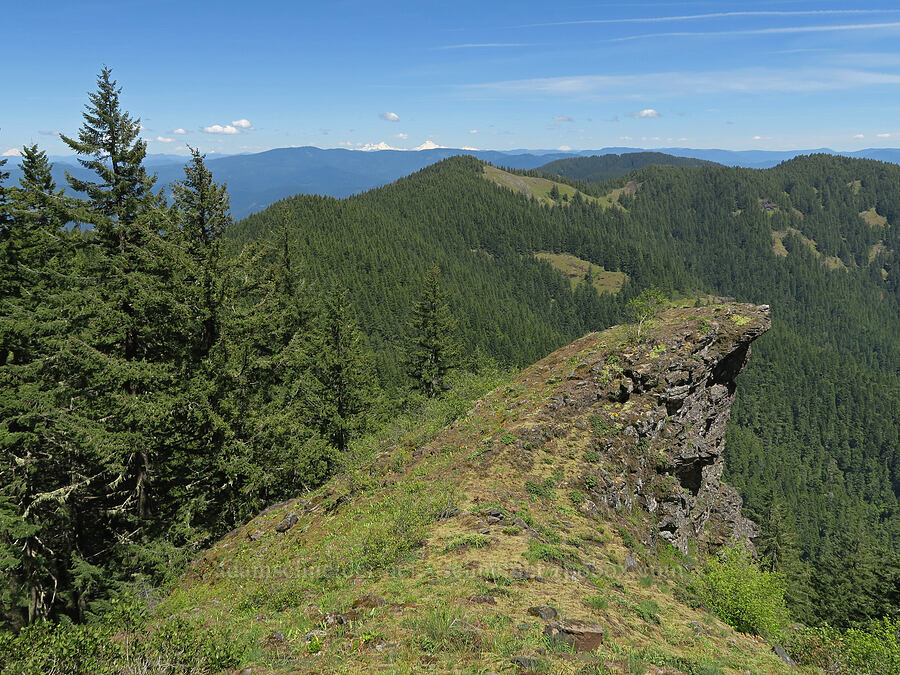 view to the east [Mount June, Umpqua National Forest, Lane County, Oregon]