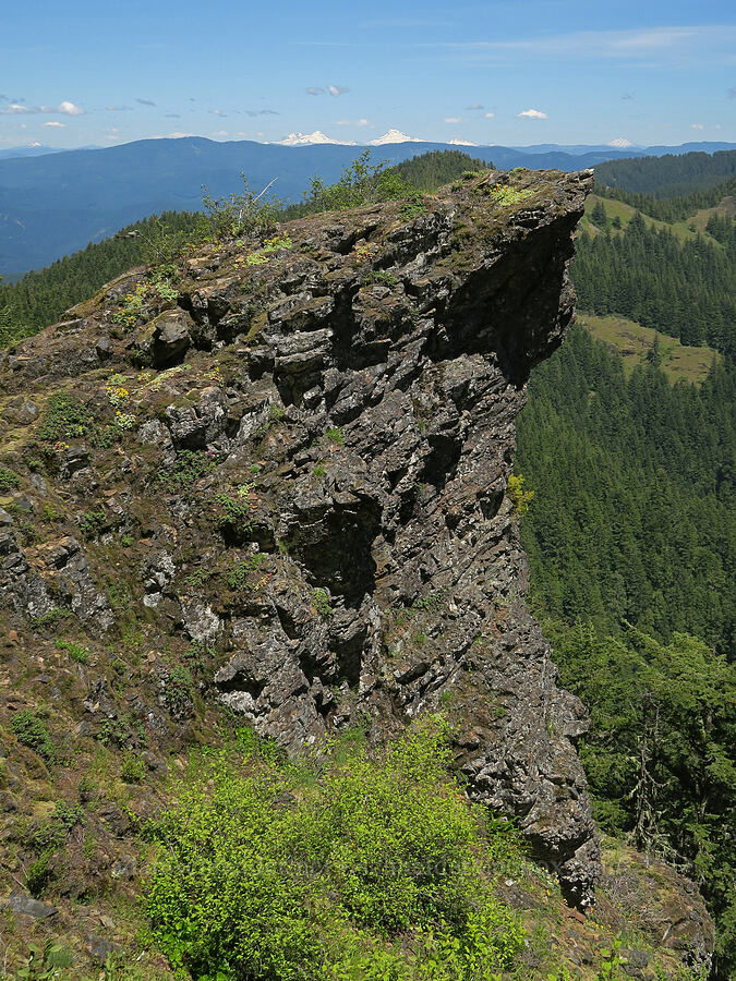 rocky wave [Mount June, Umpqua National Forest, Lane County, Oregon]