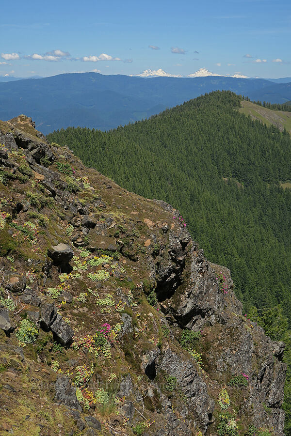 Three Sisters & rocky cliffs [Mount June, Umpqua National Forest, Lane County, Oregon]