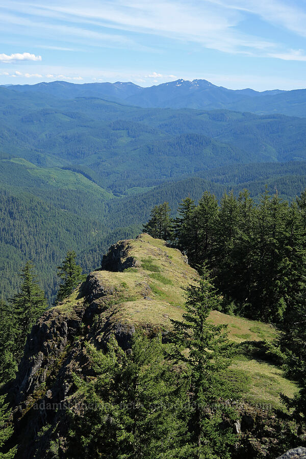 view toward Fairview Peak & Bohemia Mountain [Mount June, Umpqua National Forest, Lane County, Oregon]