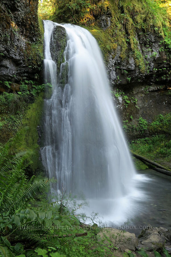 Spirit Falls [Spirit Falls Trail, Umpqua National Forest, Lane County, Oregon]