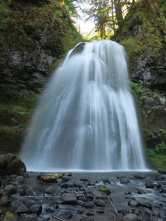 Spirit Falls [Spirit Falls Trail, Umpqua National Forest, Lane County, Oregon]