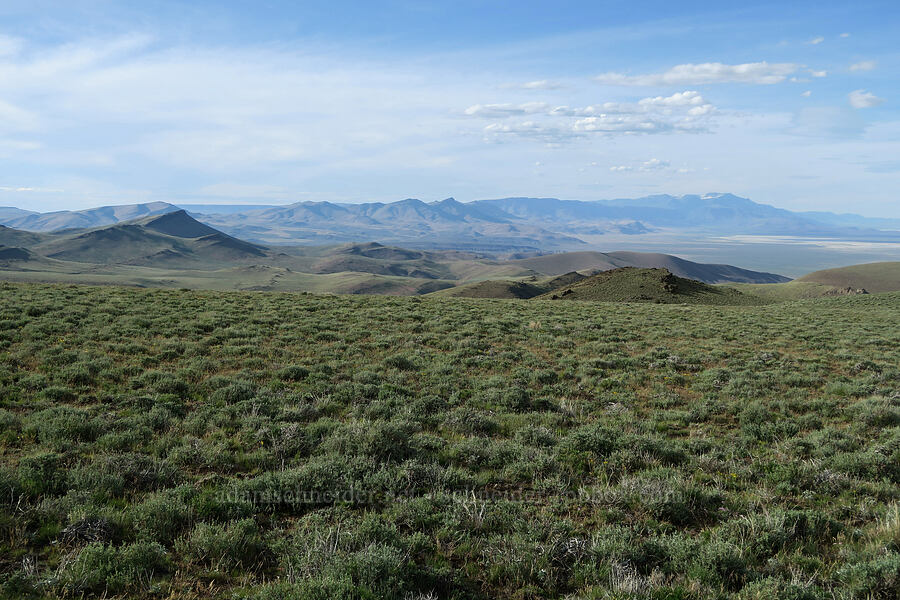 view to the north [Pueblo Mountains, Harney County, Oregon]