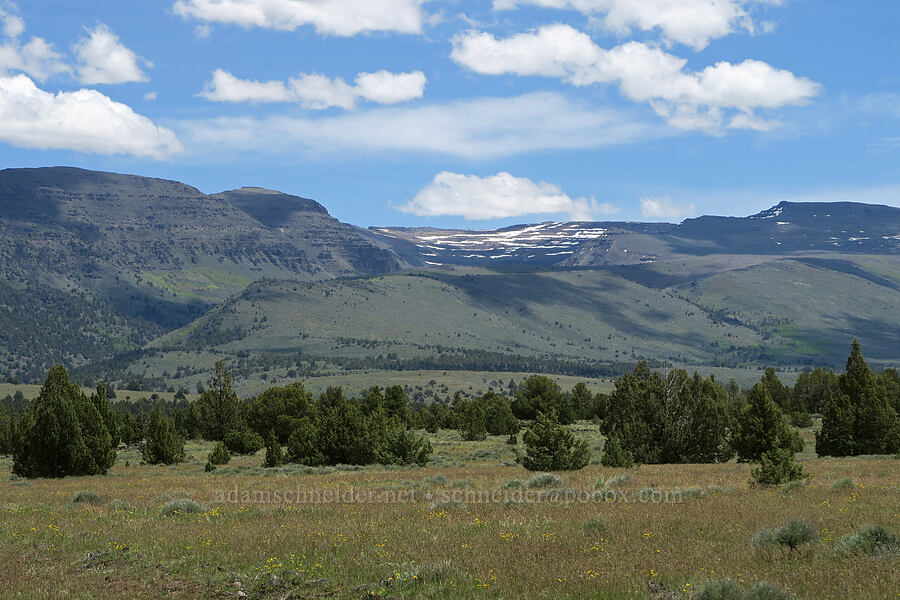 Steens Mountain [South Steens Mountain Loop Road, Harney County, Oregon]