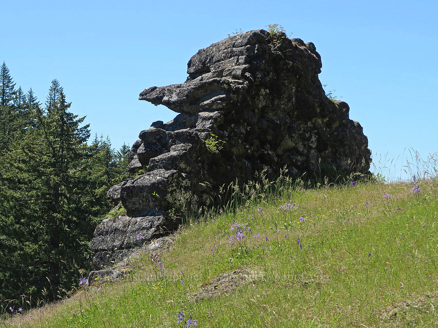 face in a dike [Tire Mountain's east ridge, Willamette National Forest, Lane County, Oregon]