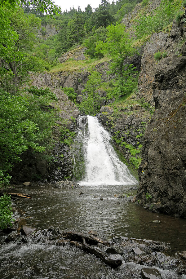 Dog Creek Falls [Dog Creek Falls Trail, Gifford Pinchot National Forest, Skamania County, Washington]