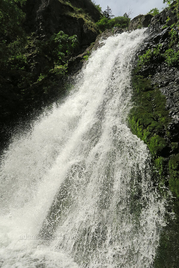 Dog Creek Falls [Dog Creek Falls, Gifford Pinchot National Forest, Skamania County, Washington]