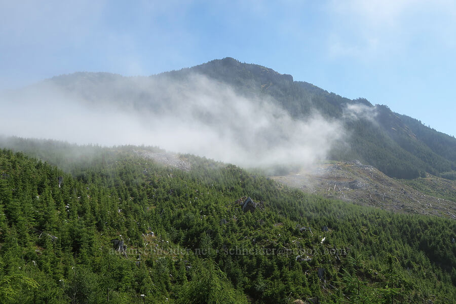 Angora Peak & coastal fog [Angora Peak Trail, Clatsop County, Oregon]