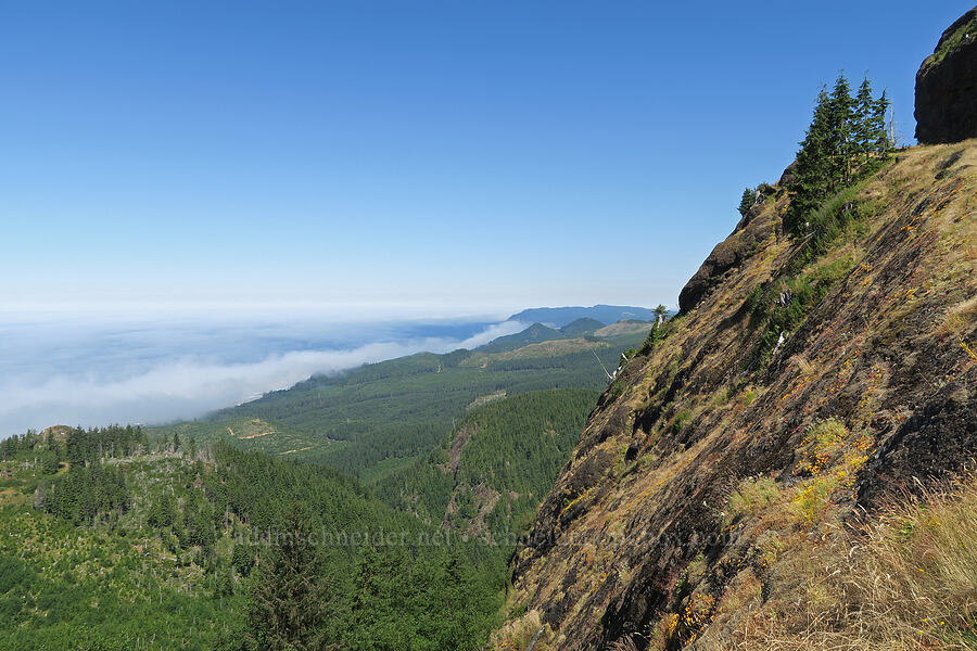 edge of Angora Peak [Angora Peak Trail, Clatsop County, Oregon]