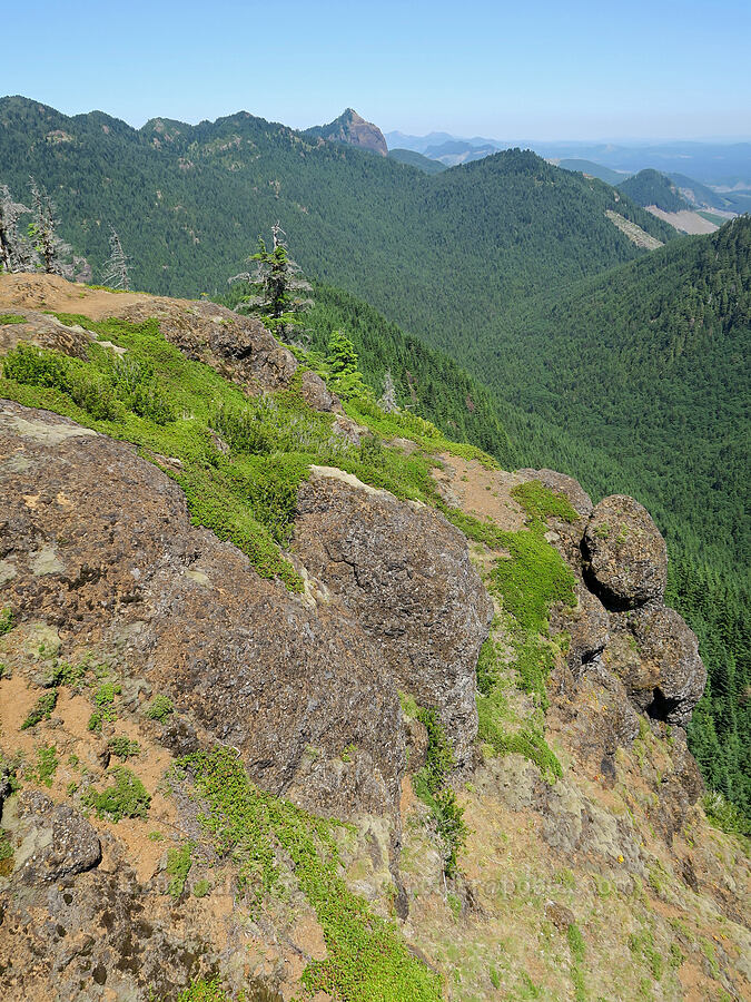 Onion Peak & the edge of Angora Peak [Angora Peak, Clatsop County, Oregon]