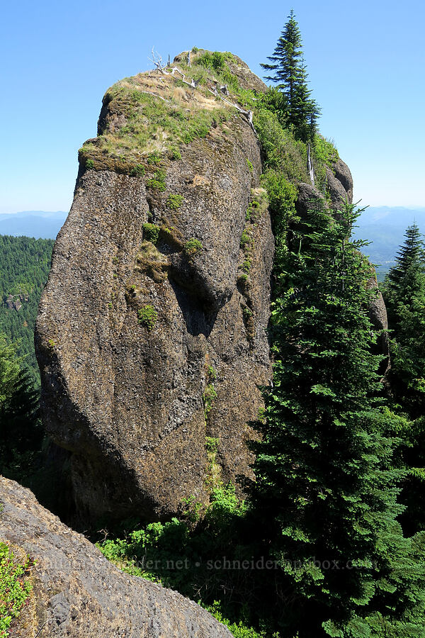 Revenge of Angora [Angora Peak, Clatsop County, Oregon]