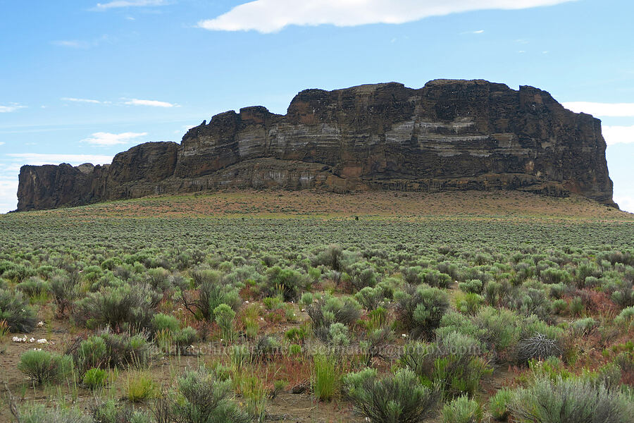 Fort Rock [County Road 5-11A, Lake County, Oregon]