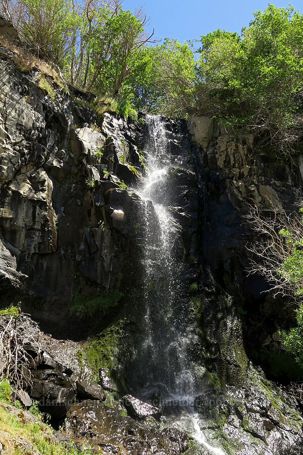 waterfall [DeGarmo Canyon, Hart Mountain National Antelope Refuge, Lake County, Oregon]