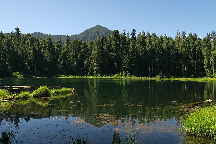 Parish Lake [Parish Lake Trail, Willamette National Forest, Linn County, Oregon]