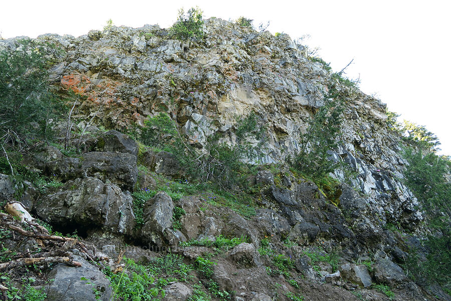 cliff below Middle Pyramid [Pyramids Trail, Willamette National Forest, Linn County, Oregon]