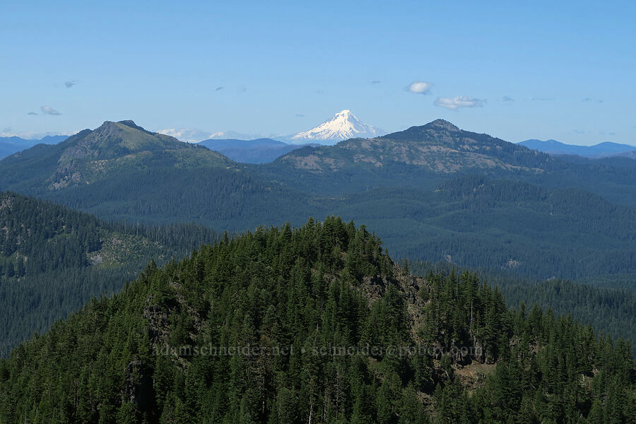 North Pyramid, Coffin Mountain, Bachelor Mountain, & Mount Hood [Middle Pyramid, Willamette National Forest, Linn County, Oregon]