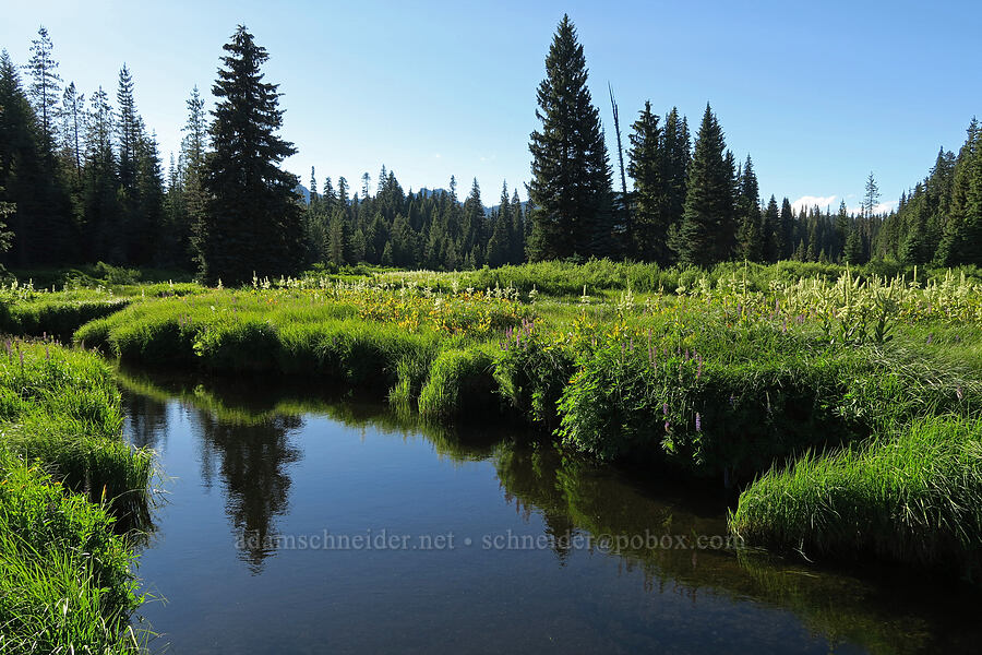 Park Creek [Park Creek Basin, Willamette National Forest, Linn County, Oregon]