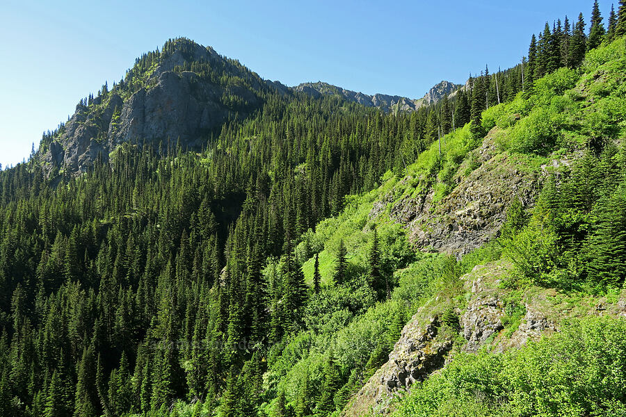 northeast ridge of Welch Peaks [Mount Townsend Trail, Buckhorn Wilderness, Jefferson County, Washington]