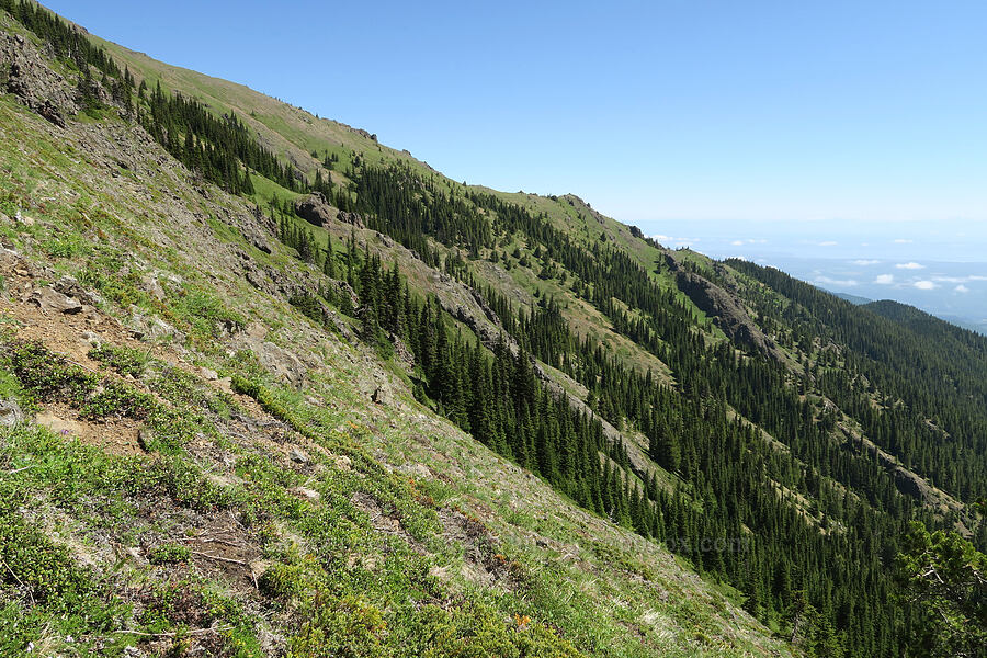 east face of Mount Townsend [Mount Townsend Trail, Buckhorn Wilderness, Jefferson County, Washington]
