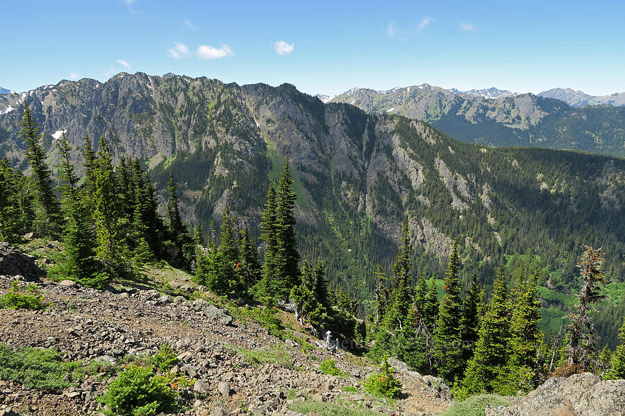 ridge above Silver Creek [Mount Townsend, Buckhorn Wilderness, Jefferson County, Washington]