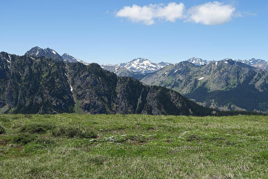 view toward Mount Mystery [Mount Townsend, Buckhorn Wilderness, Jefferson County, Washington]