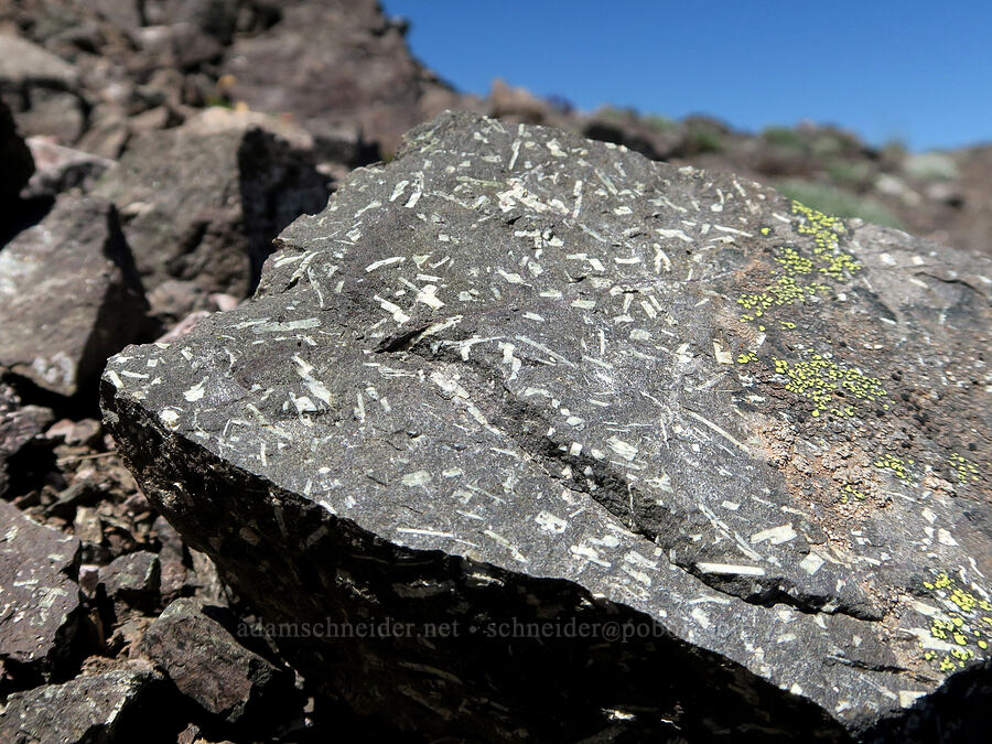 porphyritic volcanic rock [Mount Townsend, Buckhorn Wilderness, Clallam County, Washington]