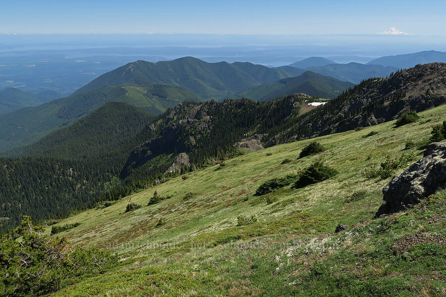 view to the southeast [Mount Townsend, Buckhorn Wilderness, Clallam County, Washington]