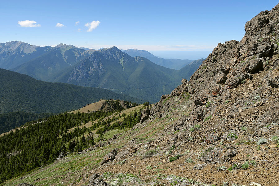 view to the northwest [Mount Townsend, Buckhorn Wilderness, Clallam County, Washington]