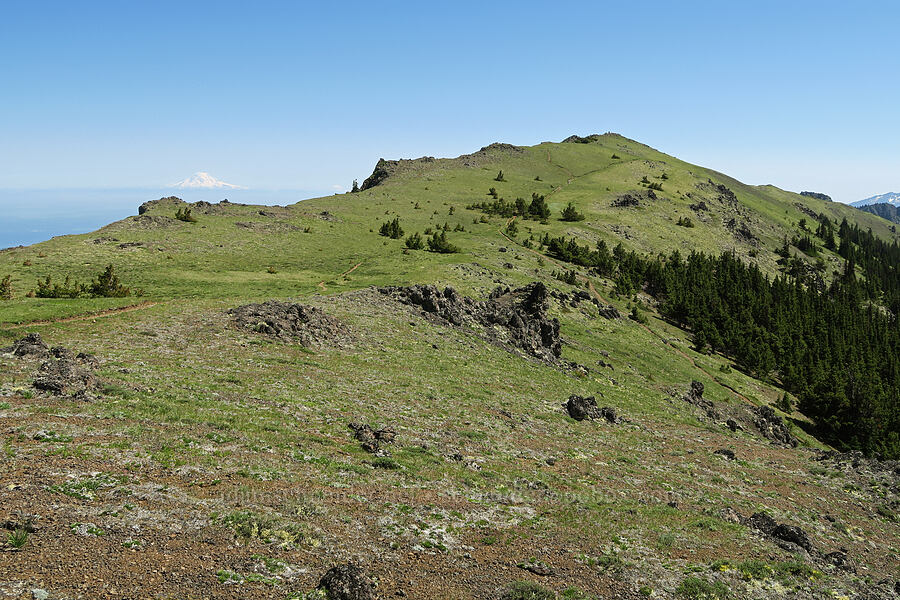west slope of Mount Townsend [Mount Townsend, Buckhorn Wilderness, Clallam County, Washington]