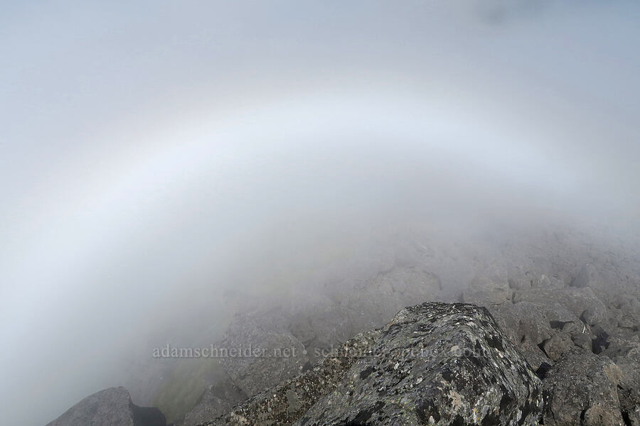 fogbow [Three Corner Rock, Gifford Pinchot National Forest, Skamania County, Washington]