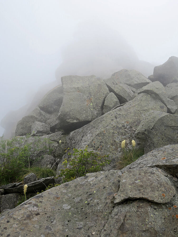 rocks & clouds [Three Corner Rock, Gifford Pinchot National Forest, Skamania County, Washington]