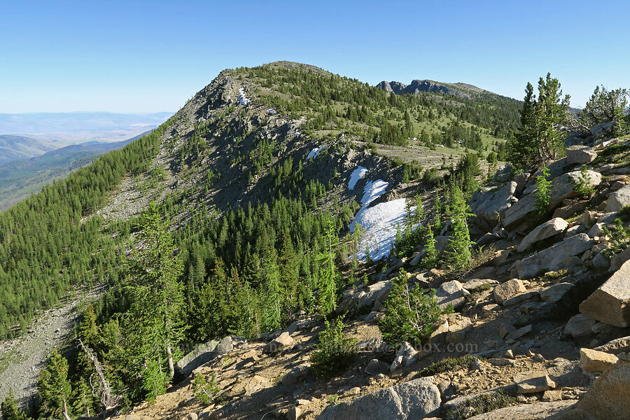 Peak 7832 [North Summit Trail, Okanogan-Wenatchee National Forest, Okanogan County, Washington]
