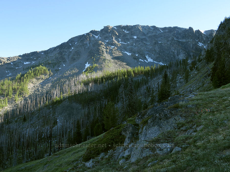 Tiffany Mountain from the north [Tiffany Lake Trail, Okanogan-Wenatchee National Forest, Okanogan County, Washington]