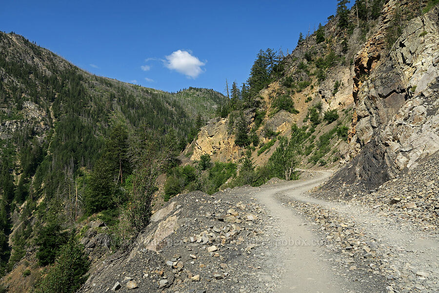 narrow road [Deadhorse Point, Okanogan-Wenatchee National Forest, Okanogan County, Washington]