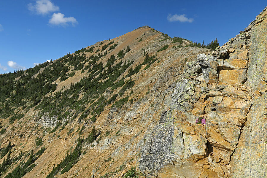 Tatie Peak from the west [southwest of Tatie Peak, Okanogan-Wenatchee National Forest, Whatcom County, Washington]