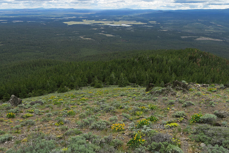 view toward Sycan Marsh [Hager Mountain Trail, Fremont-Winema National Forest, Lake County, Oregon]