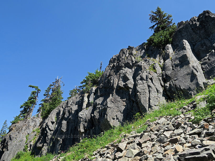 summit block [Bohemia Mountain Trail, Umpqua National Forest, Lane County, Oregon]